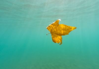 Katowickie Wodociągi S.A.