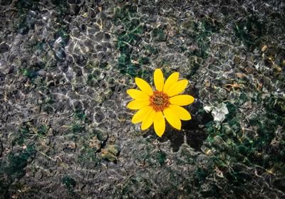 Katowickie Wodociągi S.A.